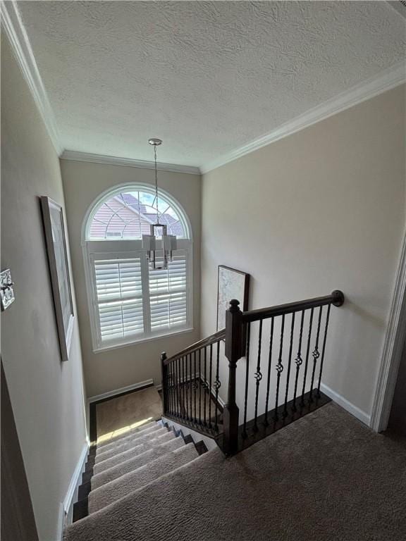 3016 Brookstone Dr, Cecil, PA 15317 - photo 11