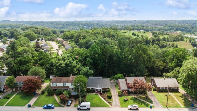 439 Bryant Dr, Penn Hills, PA 15235 - photo 30