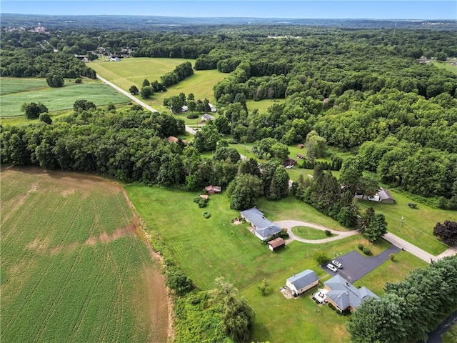 832 Clarksville Rd, Coolspring Twp, PA 16137 - photo 41