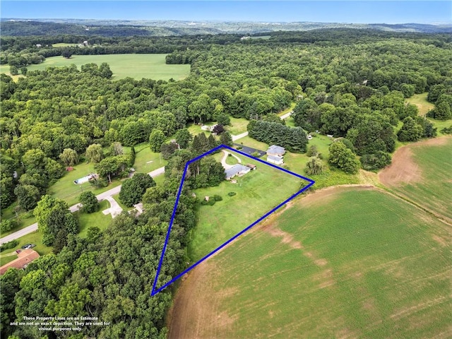 832 Clarksville Rd, Coolspring Twp, PA 16137 - photo 44