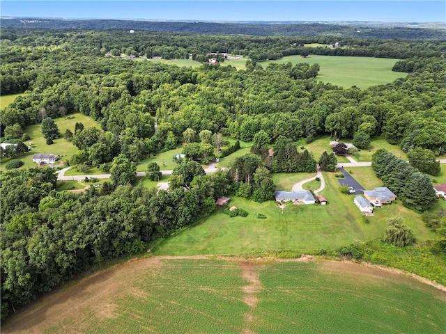 832 Clarksville Rd, Coolspring Twp, PA 16137 - photo 45