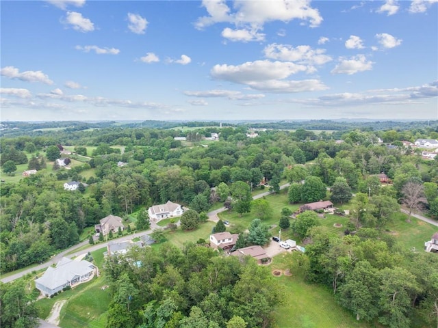 35 Blueberry Ln, Cecil, PA 15321 - photo 45