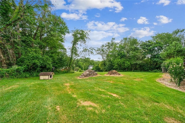 35 Blueberry Ln, Cecil, PA 15321 - photo 43