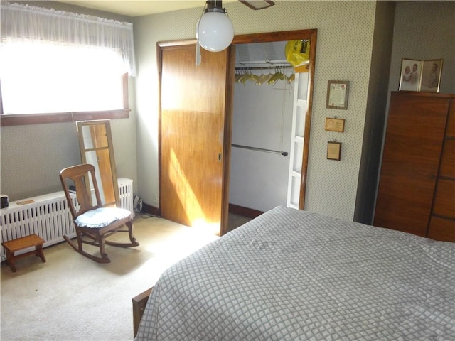 552 Pearl St, Brownsville, PA 15417 - photo 15