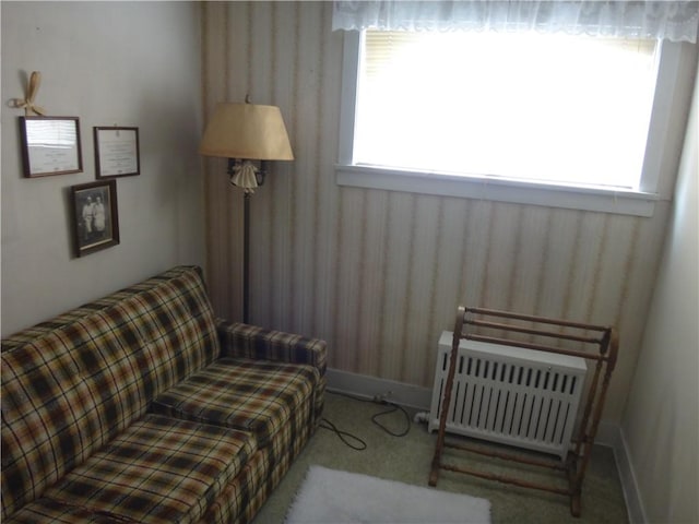 552 Pearl St, Brownsville, PA 15417 - photo 16