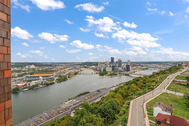 1700 Grandview Ave Unit 1102, Mt Washington, PA 15211 - photo 32