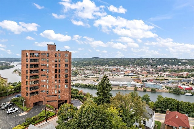 1700 Grandview Ave Unit 1102, Mt Washington, PA 15211 - photo 33