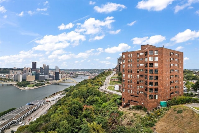 1700 Grandview Ave Unit 1102, Mt Washington, PA 15211 - photo 3