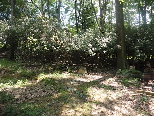 3202 Listonburg Rd, Addison Twp, PA 15424 - photo 20