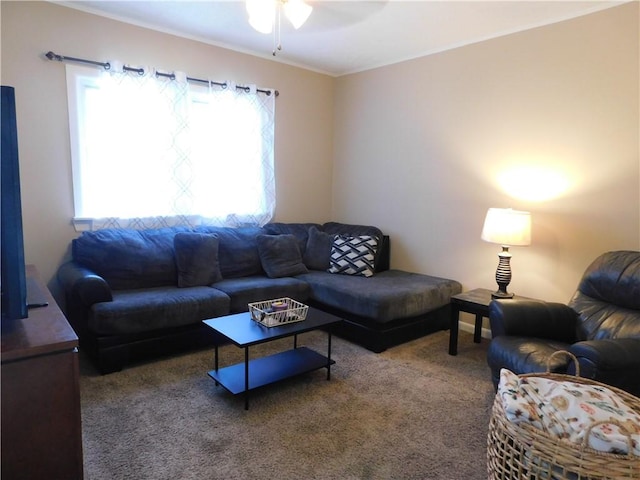 220 Irving Ave, Latrobe, PA 15650 - photo 6