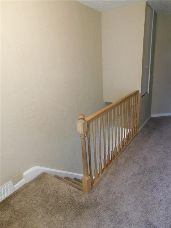 220 Irving Ave, Latrobe, PA 15650 - photo 20