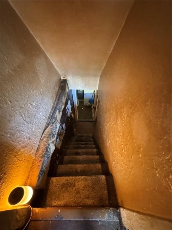 235 Fernleaf St, Arlington, PA 15210 - photo 6