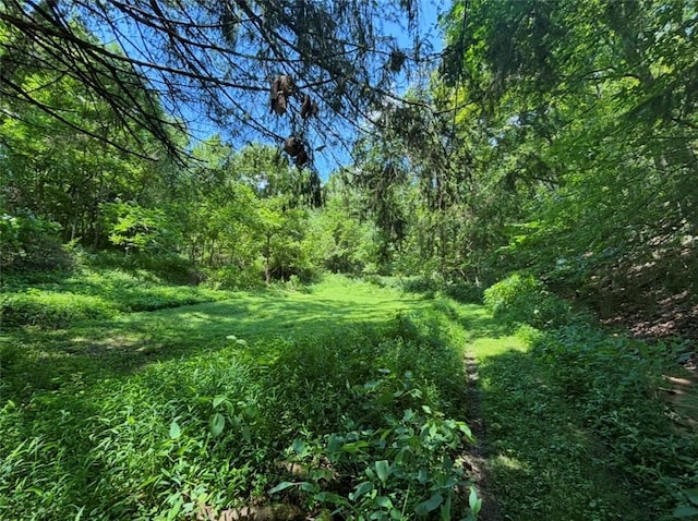 45 Dutch Hollow Rd, Collier Twp, PA 15071 - photo 6