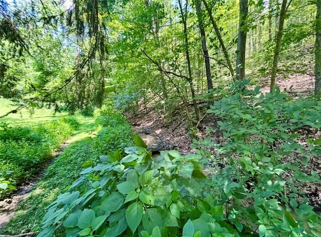 45 Dutch Hollow Rd, Collier Twp, PA 15071 - photo 7