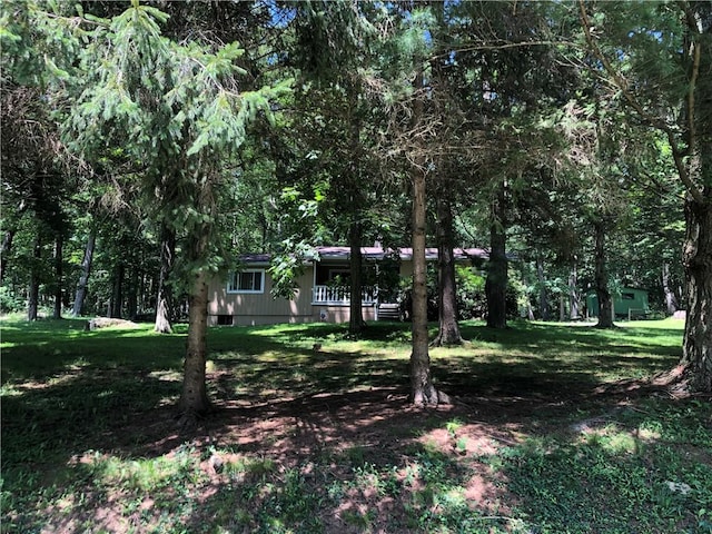 445 Jefferson Trl, Wharton Twp, PA 15470 - photo 46