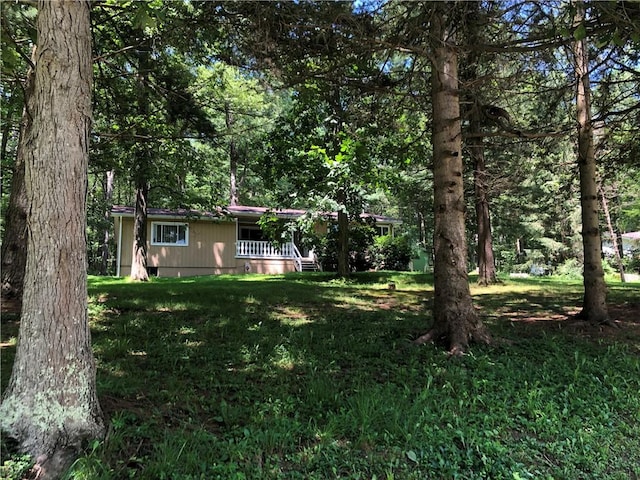 445 Jefferson Trl, Wharton Twp, PA 15470 - photo 1