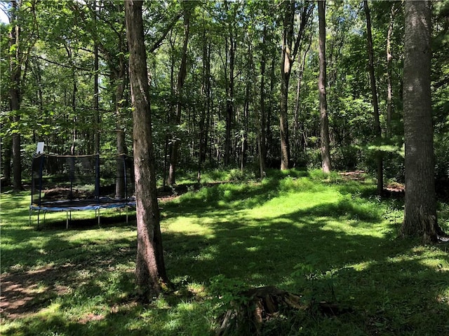445 Jefferson Trl, Wharton Twp, PA 15470 - photo 42