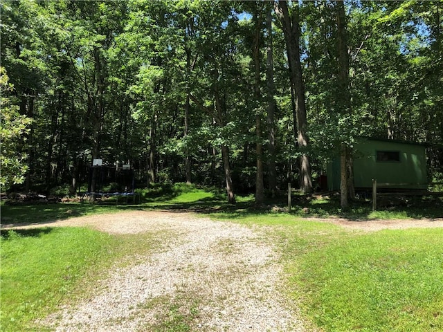 445 Jefferson Trl, Wharton Twp, PA 15470 - photo 45
