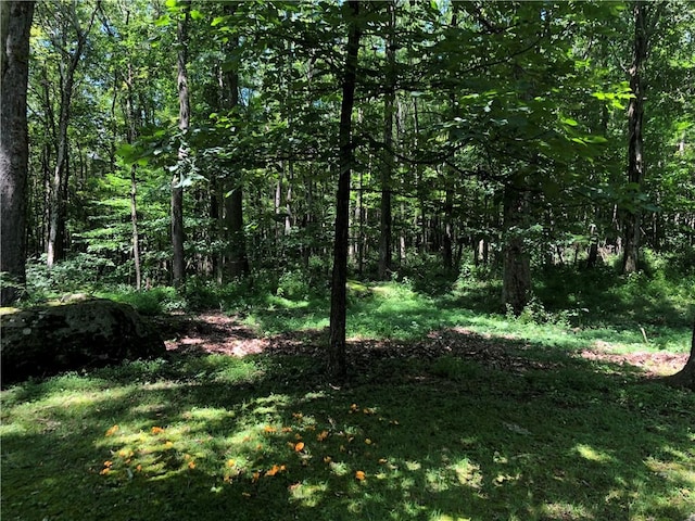 445 Jefferson Trl, Wharton Twp, PA 15470 - photo 17