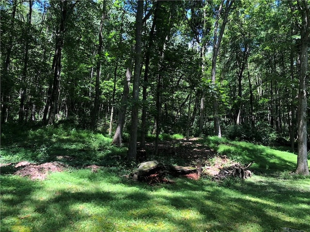445 Jefferson Trl, Wharton Twp, PA 15470 - photo 40