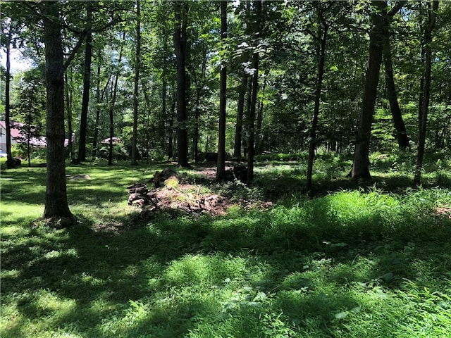 445 Jefferson Trl, Wharton Twp, PA 15470 - photo 38