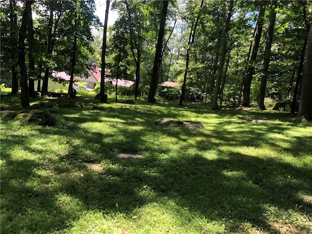 445 Jefferson Trl, Wharton Twp, PA 15470 - photo 16
