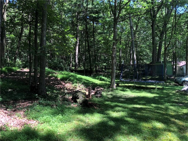 445 Jefferson Trl, Wharton Twp, PA 15470 - photo 37