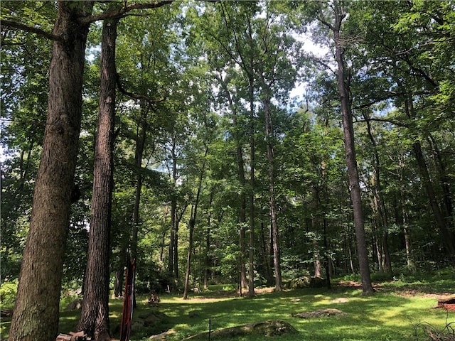 445 Jefferson Trl, Wharton Twp, PA 15470 - photo 39