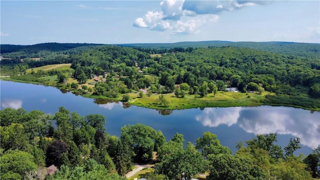 445 Jefferson Trl, Wharton Twp, PA 15470 - photo 7