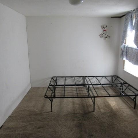 110 Coal Ave, Conemaugh Twp, PA 15937 - photo 14