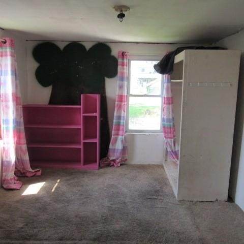 110 Coal Ave, Conemaugh Twp, PA 15937 - photo 13