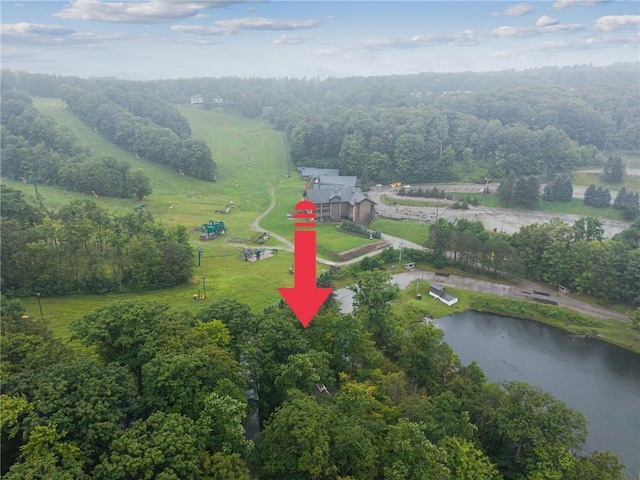 114 Imperial Rd, Hidden Valley, PA 15502 - photo 32