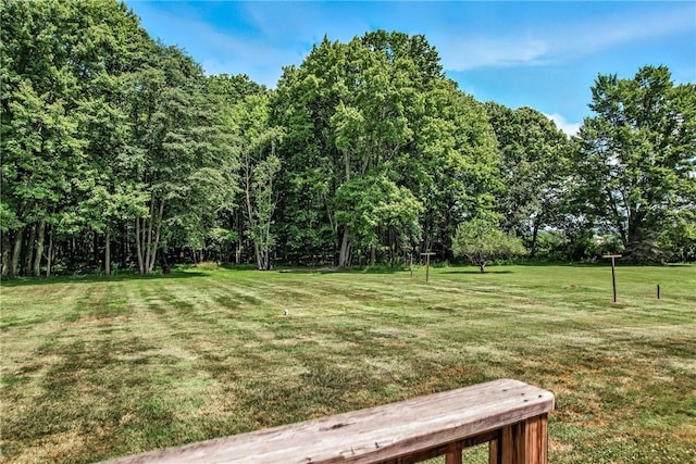 325 Williamson Rd, West Salem Twp, PA 16125 - photo 9