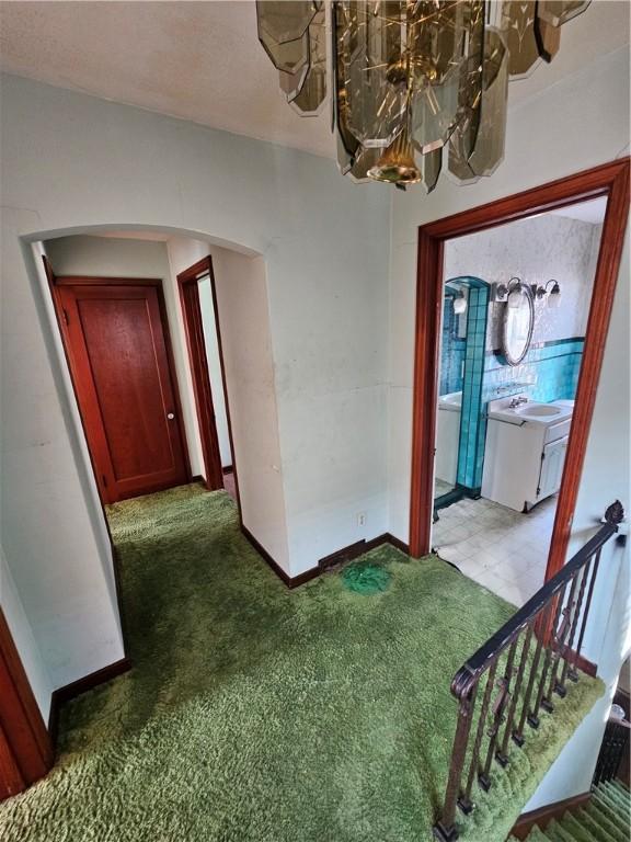 115 Ivy St, Wilkins Twp, PA 15145 - photo 6