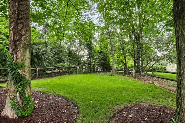 1005 Tall Trees Dr, Saint Clair, PA 15241 - photo 36