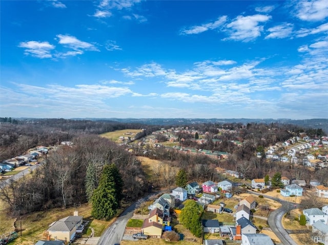 609 Thompson Ave, Clairton, PA 15025 - photo 28