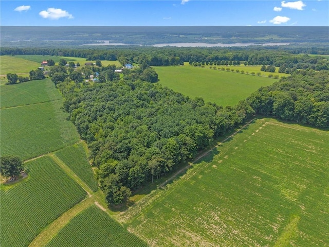 2789 Rutledge Rd, South Pymatuning Twp, PA 16154 - photo 43