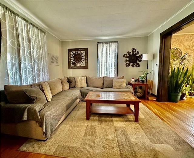 534 12th Ave, New Brighton, PA 15066 - photo 8