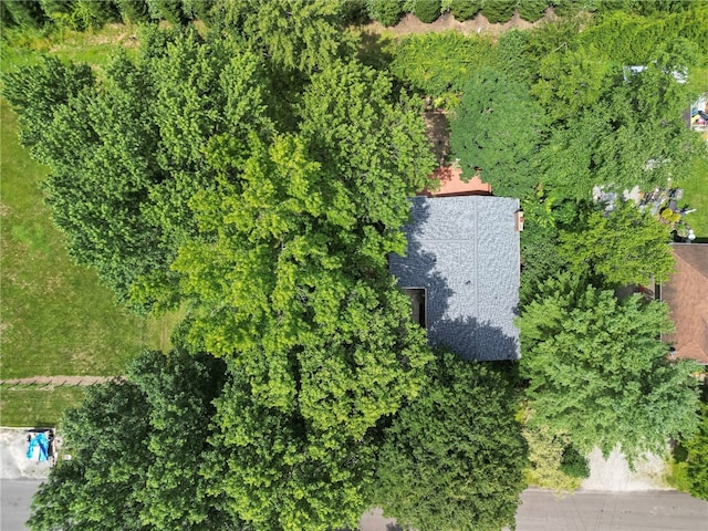 107 Colbaugh Dr, Level Green, PA 15085 - photo 33