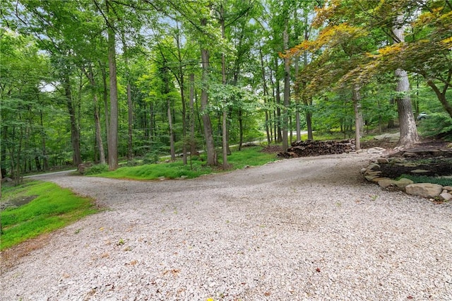 271 Snowshoe Rd, Bullskin Twp, PA 15610 - photo 31