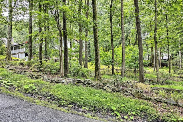114 Alpine Rd, Bullskin Twp, PA 15610 - photo 19
