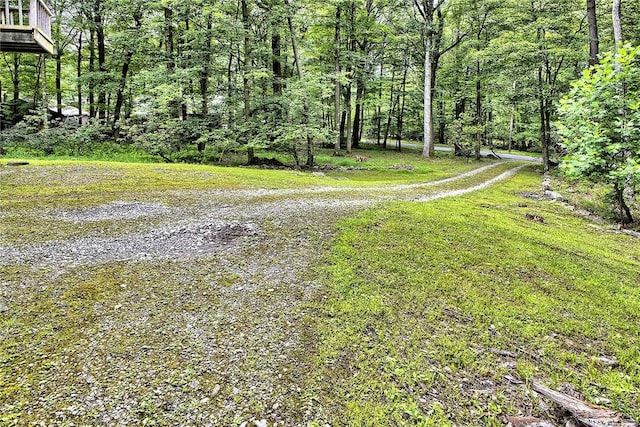 114 Alpine Rd, Bullskin Twp, PA 15610 - photo 18