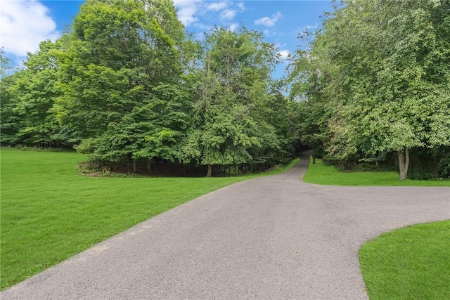 936 Mcelhaney Rd, New Sewickley Twp, PA 15042 - photo 36