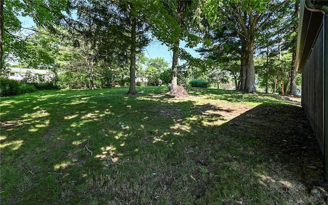 301 Thompson Run Rd, Beaver Falls, PA 15010 - photo 24