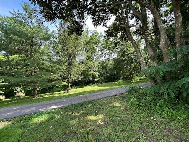 239 Marshall Rd, Oakdale, PA 15071 - photo 4