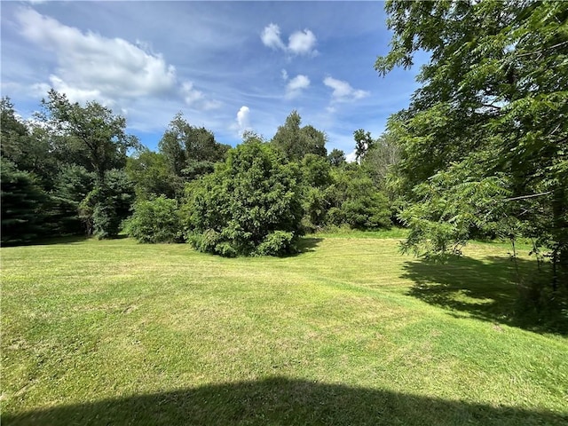 239 Marshall Rd, Oakdale, PA 15071 - photo 41