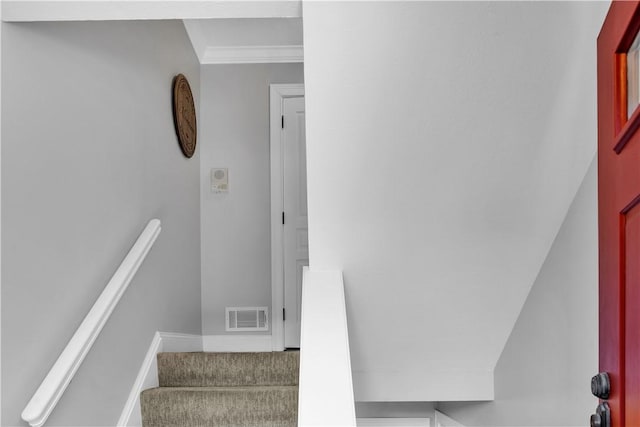 258 The Pines Dr, Pittsburgh, PA 15243 - photo 3