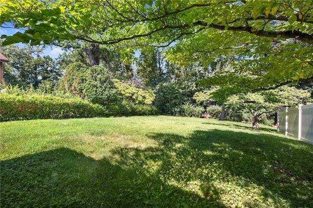 204 Dunbar Dr, Wilkins Twp, PA 15235 - photo 25