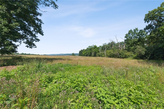 127 Singer Way, Ligonier Twp, PA 15658 - photo 30