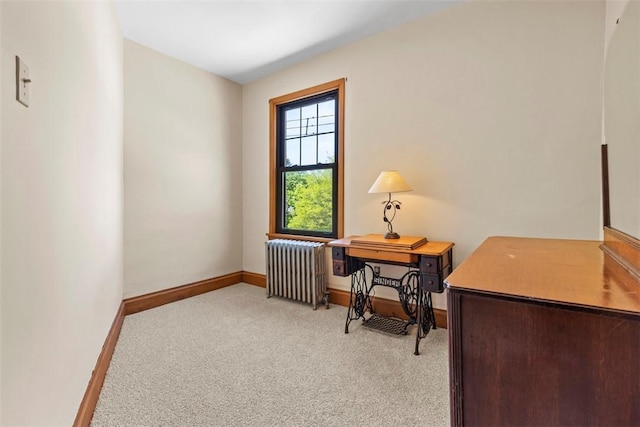 502 Kenmont Ave, Mt Lebanon, PA 15228 - photo 35